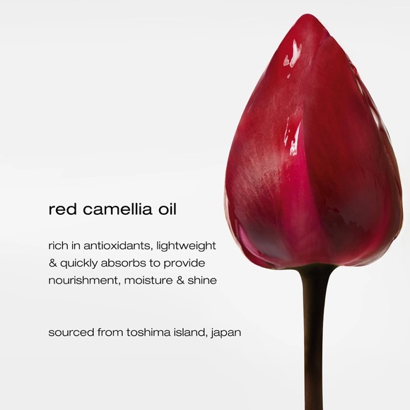 Shu Uemura essence absolue nourishing protective hair oil add shine tame frizz - Picture 6 of 10